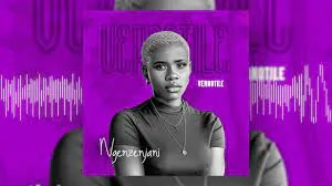 Vernotile – Ngenzenjani
