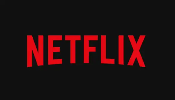 Netflix Wins Rights to Fantasy Romance Novel Quicksilver