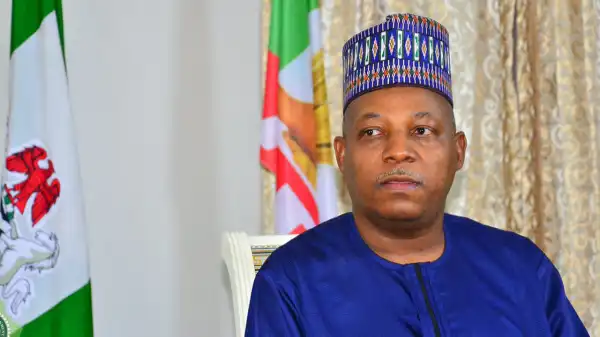 Tinubu endorsement: It’s joint ticket, ignoring Shettima not in APC interest – Bashir Ahmad