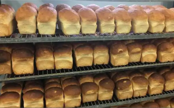 Nigerians Worried As 5,000 Bakers Down Their Tools, Stop Production