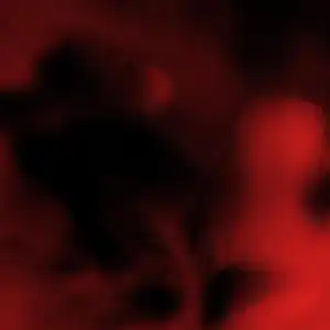 $not Ft. Denzel Curry – Sangria