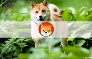 Shiba Inu’s Newly Launched ShibaSwap DEX Explodes With $1.5B TVL in Less Than 2 Days