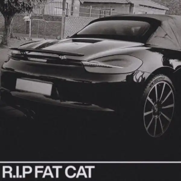 Thato Saul – R.I.P. Fat Cat