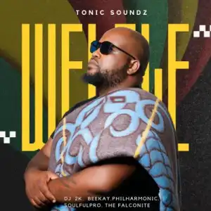 TonicSoundz ft DJ 2k, B33Kay SA, Philharmonic, Soulful Pro, The Falconite – Welele