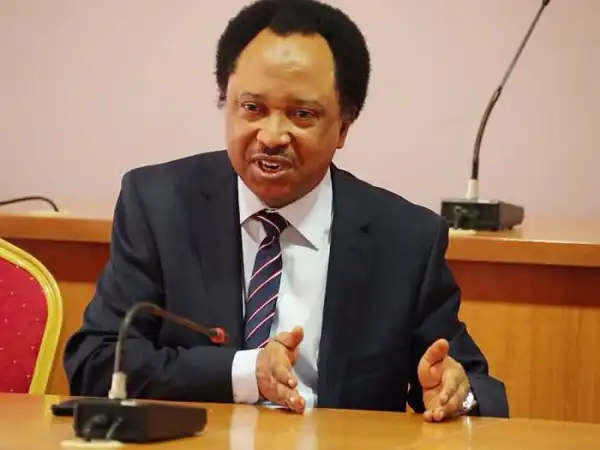 Shehu Sani Reacts As Bandits Abduct 73 Students In Zamfara