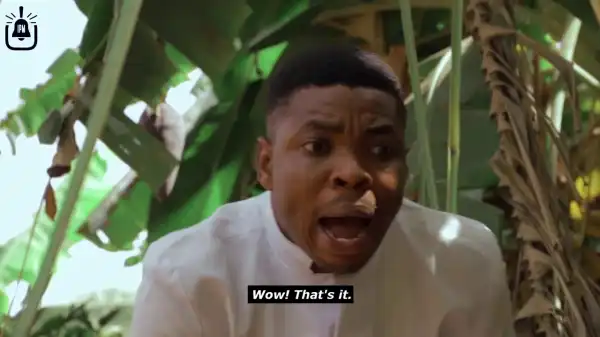 Woli Agba - Conductor (Comedy Video)