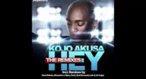 Kojo Akusa – Hey (Da Capo’s Dub Touch)