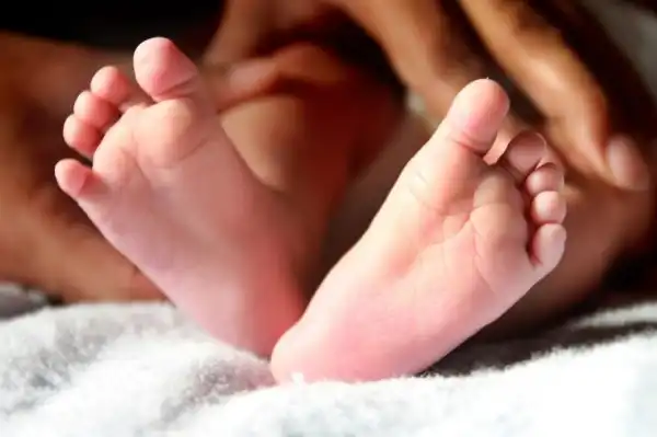 Baby with DNA from three persons born in Britain