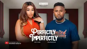 Prefectly Imperfect (2024 Nollywood Movie)