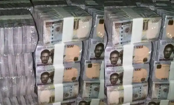 28 Governors Pile Up ₦‎5.8 Trillion Debts For Incoming Governments