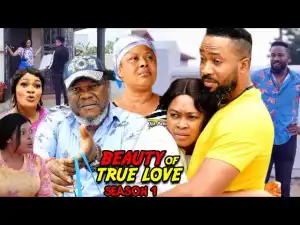 Beauty Of True love Season 1