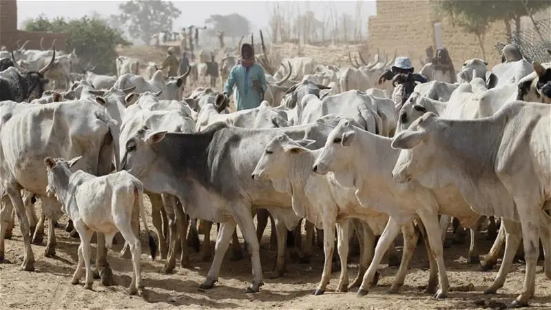 Herders kill Volunteer Guards member, 6 others in Benue