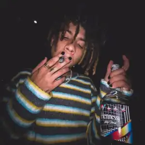 Iann Dior – Loser