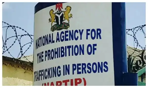NAPTIP busts child trafficking ring, rescues 8 stolen children