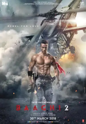 Baaghi 2 (2018) (Hindi)