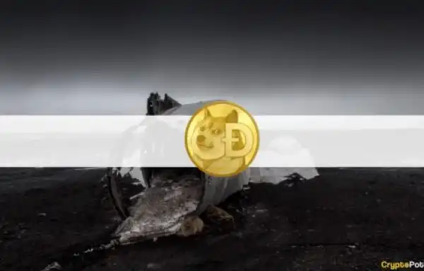 Dogecoin Is Down 75% Since its ATH in May: Investors Beg Elon Musk for Help