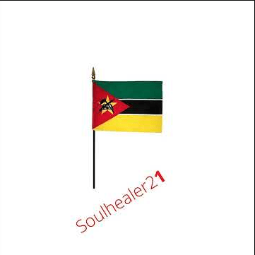 SoulHealer21 – Bique 6.0 (KDM Vox)