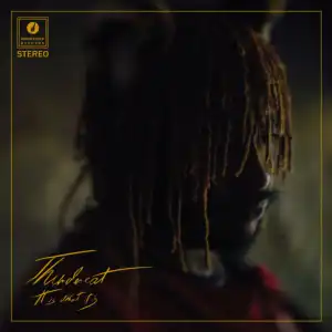 Thundercat Ft. Ty Dolla sign - Fair Chance