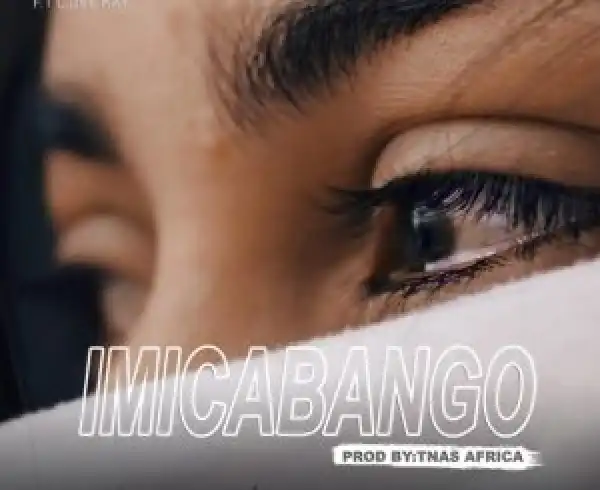 Didablk – Imicabango ft. L.DeeKay