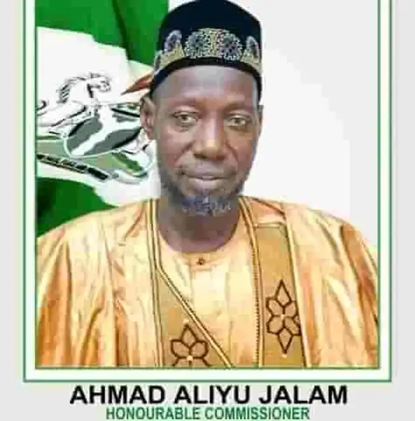 Bauchi commissioner dies in fatal crash