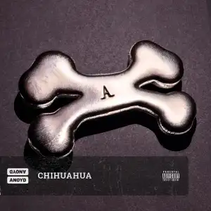 Anoyd – Chihuahua
