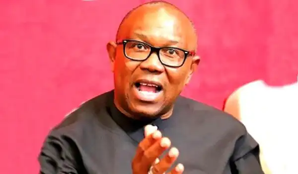 VP Slot: Disquiet As Peter Obi Demands Single Term,200 Billion From Datti