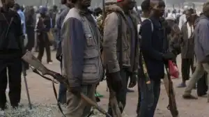 Vigilante arrest fake lawyer, Olubuwe Ossai Silas in Delta