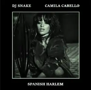 Camila Cabello Ft. DJ Snake – Spanish Harlem