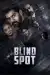 Blind Spot (2025) [Hindi]