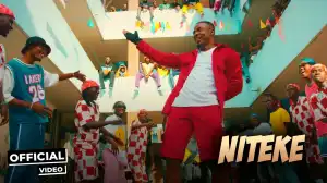 Alikiba – Niteke ft. Blaq Diamond (Video)