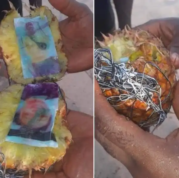 Photo Of A Man And Woman Found Inside A Pineapple Which Washed Up From The Sea