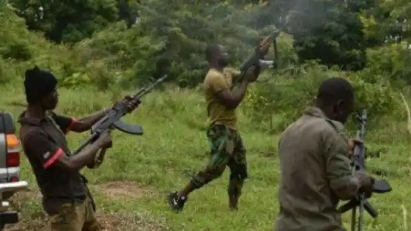 15 Killed In Fresh Attack On Benue Community