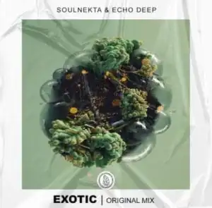 Soulnekta & Echo Deep – Exotic (Original Mix)
