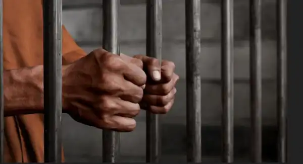 Dangote Driver Sent To Jail