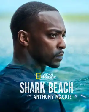Shark Beach With Anthony Mackie Gulf Coast (2024)
