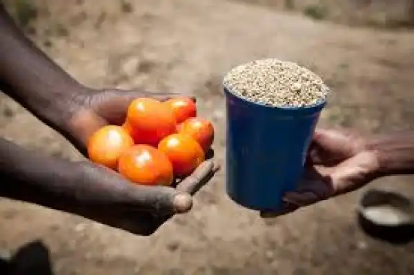 Cash Crunch: Rural Dwellers Resort To Trade By Barter