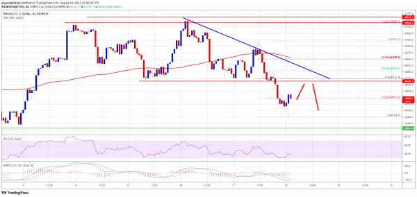 Bitcoin Breaks Key Support, Why BTC Could Revisit $40K