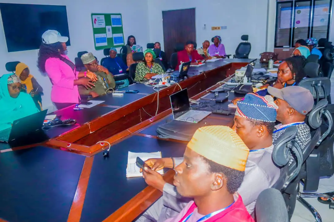 461 cases of rubella disease in 2025 in Nigeria worrisome – Niger govt
