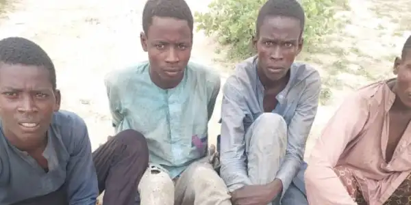 Nigerian military frees 7 kidnapped herders during raid on Boko Haram camp
