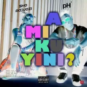 pH – A Mi Ku Yini (What Are They Sayinʻ) Ft. Sho Madjozi