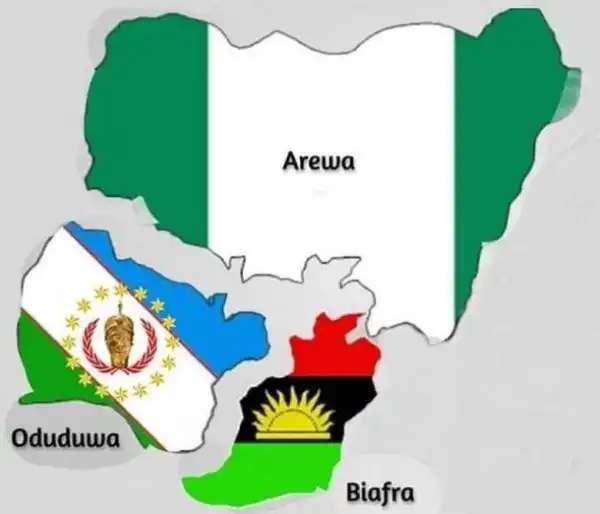 Afghanistan: Nigerians React To Taliban Success, Agitate Division Before Terrorist Overtake