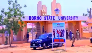 Borno State University gets new VC