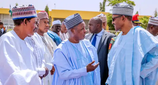 Buhari Pledges N6.25b To Katsina Cattle Ranch