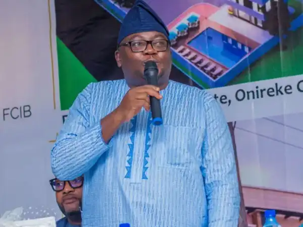 Blackout in northern Nigeria: Adelabu announces date to restore power supply