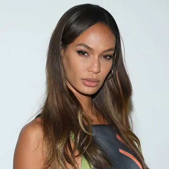 Biography & Career Of Joan Smalls