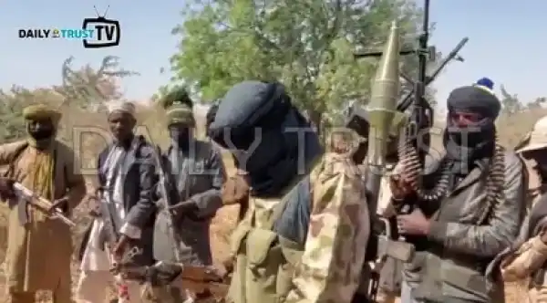 Bandits Chase Us Away And Harvest Our Crops - Rice Farmers