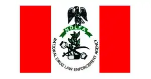 NDLEA arrests Lagos autoparts dealer for heroine trafficking