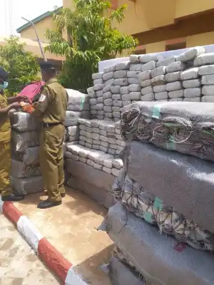 NDLEA seizes 4,732kg of hard drugs in Adamawa