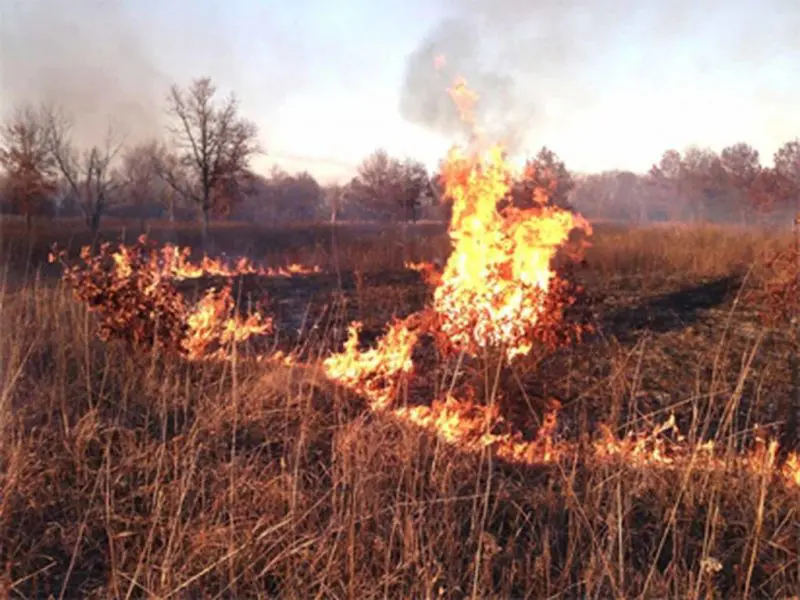 NEMA warns against bush burning in Harmattan period