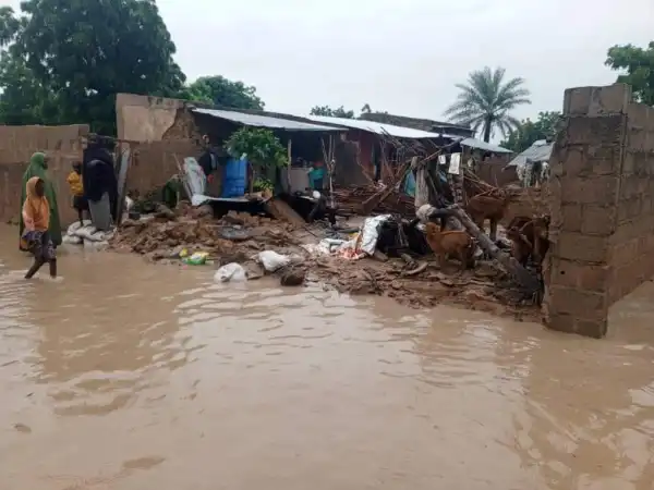 Flood takes over five communities in Yobe